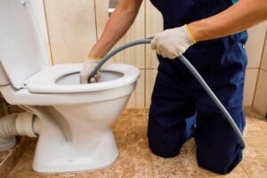 wc verstopt